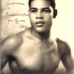 Joe Louis, an American Icon